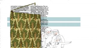 D’excursió al bosc!