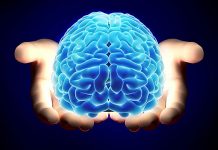 Què passa al cervell quan llegim?