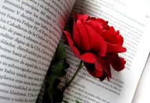 Novetats de Sant Jordi 2015