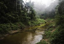 ‘El río de la desolación’, Javier Reverte