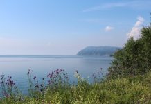 ‘La vida simple’, Sylvain Tesson