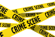 Ja arriba el crim cinematogràfic