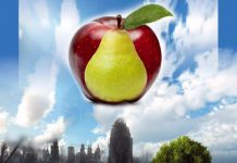 Vestuari i paradís dissabte a l’ETC