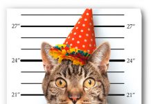 Completament sonat. Gilles Legardinier