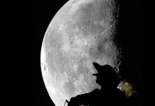 La companyia taradellenca encerta de ple amb el Cyrano