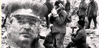 ‘Entre tons de gris’ una novel·la gris que colpeix