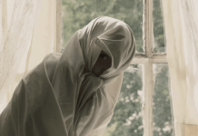 Tret de sortida al Festival de San Sebastián