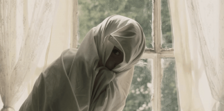 Tret de sortida al Festival de San Sebastián