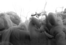 La química, Stephenie Meyer