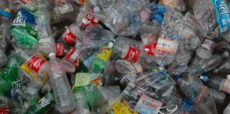 Això on va?, el llibre definitiu per aprendre a reciclar