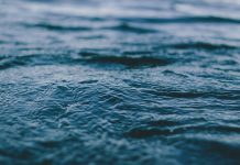 Reflexiones de un mundo líquido, Zygmunt Bauman