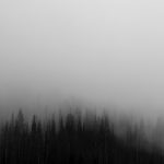 landscape-tree-forest-cloud-black-and-white-wood-20712-pxhere.com