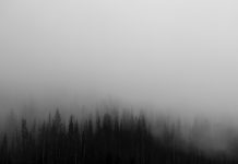 ‘Buscándote con desespero’, un poemari de Xeyareum-xun