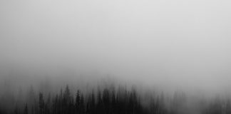 ‘Buscándote con desespero’, un poemari de Xeyareum-xun