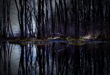 Los crímenes azules, Enrique Laso