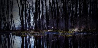 Los crímenes azules, Enrique Laso