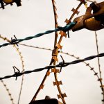 tree-branch-fence-barbed-wire-flower-wire-1184501-pxhere.com