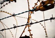 ‘Obriu les portes’, la cançó de Txarango en un llibre il·lustrat