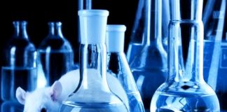 Codi genètic. Com és la investigació científica?