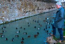 Quan els ànecs s’espolsen, recital poètic a l’ETC