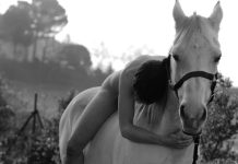 Equus, la nova posada en escena de la companyia Etcètera Teatre