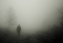 ‘La mort de Bunny Munro’ o el virtuosisme de Nick Cave