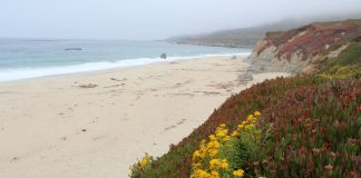 MERAVELLES DEL MÓN. Big Sur, Jack Kerouac