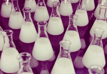 CINECLUB VIC. El profesor chiflado