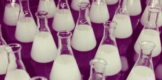 CINECLUB VIC. El profesor chiflado