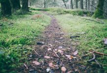 Muntanya de Llibres ens recomana…