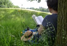 Muntanya de Llibres ens recomana…