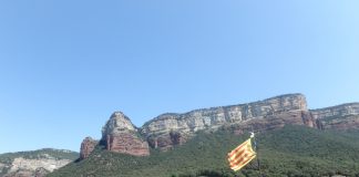 Dia de kayak entre Nits de Cinema Oriental