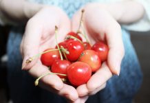 ‘Un cistell de cireres’, set contes per treballar les emocions