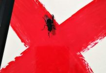 ‘La novia gitana’, Carmen Mola