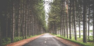 ‘No somos alimañas’, una bona manera de treballar els valors naturals