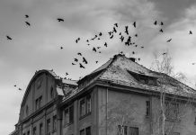 Alguns dels millors llibres de terror