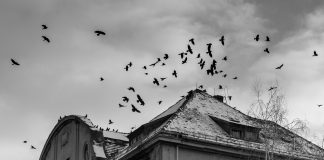 Alguns dels millors llibres de terror