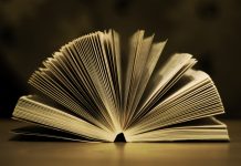 Muntanya de Llibres ens recomana…