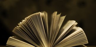 Muntanya de Llibres ens recomana…