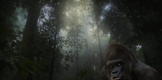 La gran batalla per la vida