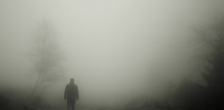 ‘La psiquiatra’, Wulf Dorn