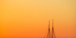 Darwin. El gran geni de la ciència