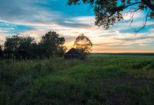 ‘La filla esborrada’, Margarida Aritzeta