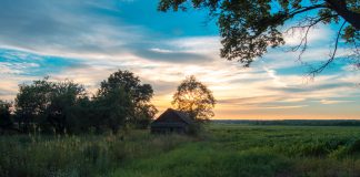 ‘La filla esborrada’, Margarida Aritzeta