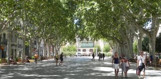 ‘La bossa de seda’, Esther Vila