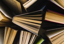 Muntanya de Llibres ens recomana…