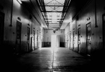 ‘WAD-RAS’, el primer cas dels mossos d’esquadra com a policia judicial fet novel·la