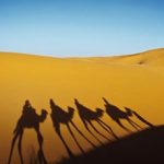 marrakech_thumb_408