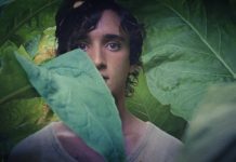 CINECLUB VIC. Lazzaro felice