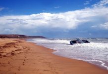 ‘Les formes del verb anar’, Jenny Erpenbeck